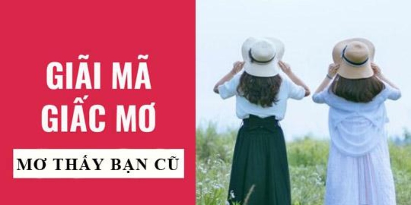 Mơ thầy bạn học từ năm cấp 2