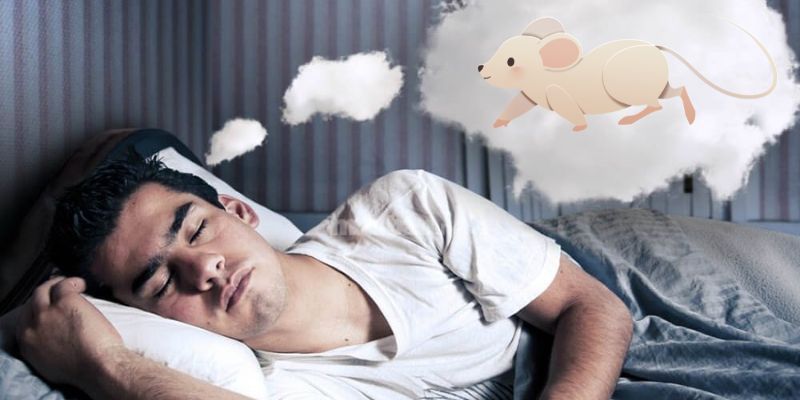 Chiêm bao thấy chuột đánh số gì trúng lớn?