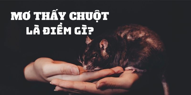 Mơ thấy chuột là điềm lành hay dữ