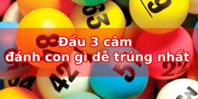 Đôi nét về đầu 3 câm đánh con gì?